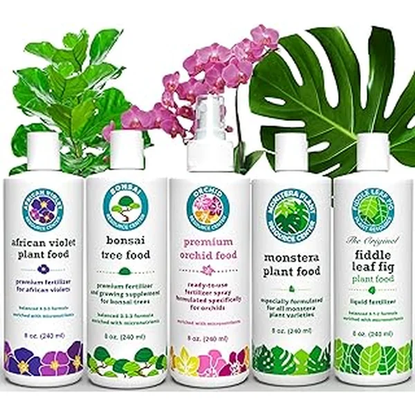 Ultimate House Plant Variety Bundle