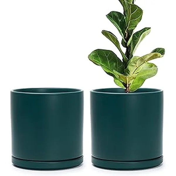 D'vine Dev Set of 2 Plants Pots, 8 Inch Ceramic Planter Pot for Plants with Drainage Hole and Saucer, Teal, 94-V-D-9