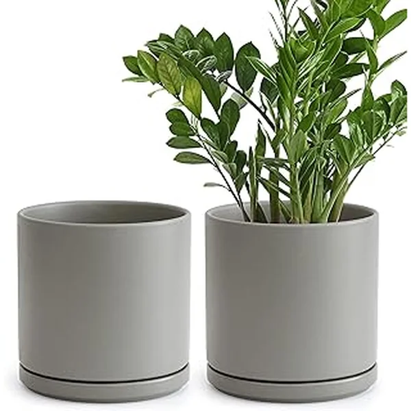 D'vine Dev Set of 2 Plants Pots, 8 Inch Ceramic Planter Pot for Plants with Drainage Hole and Saucer, Speckled Grey, 94-V-D-3