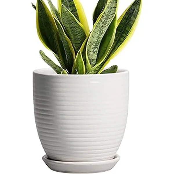 Epfamily Ceramic Pots Plants Drainage