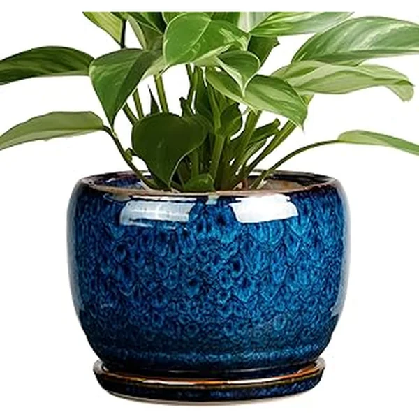 Sqowl Ceramic Planter Inch Drainage