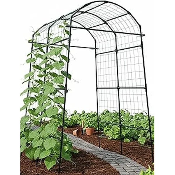 Baxam PP Coated Stainless Cucumber Vegetable
