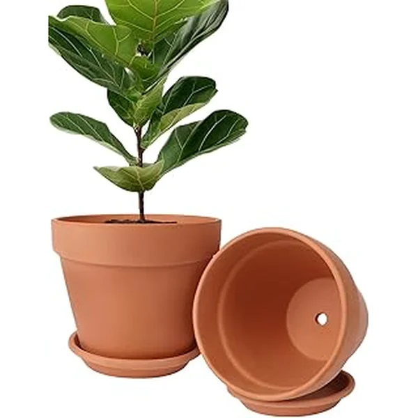 Ingofin Terracotta Pot Set Saucer