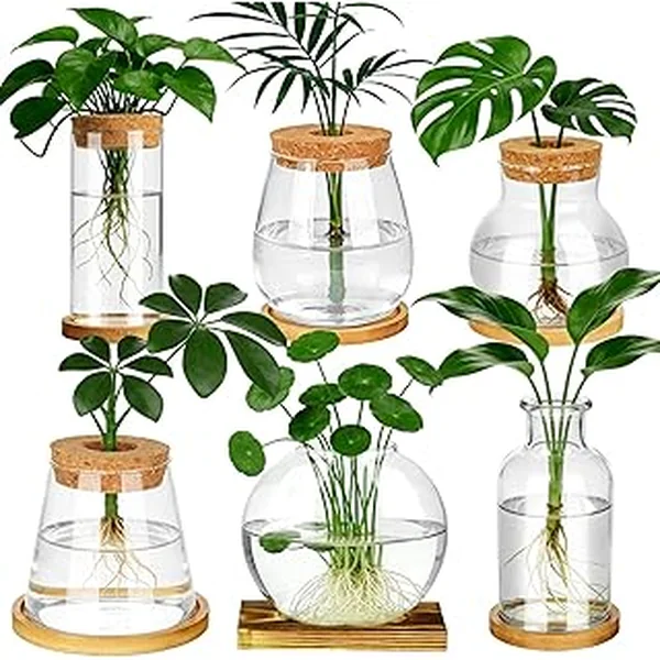 Anboliwb Propagation Terrariums Hydroponic Decoration