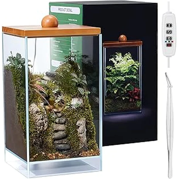 Terrarium Propagation Succulent Miniature Gardening