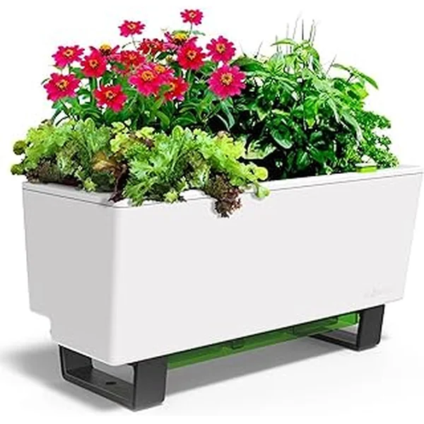 Glowpear Urban Garden Self Watering Planter