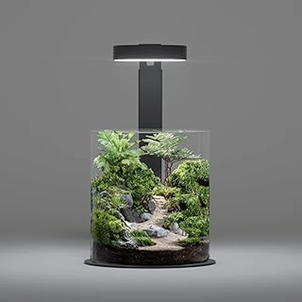 Landen Miniature Terrarium Kit Ultra Clear