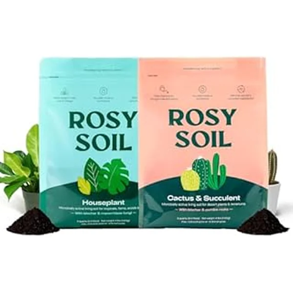 Rosy Soil Cactus Succulent Potting