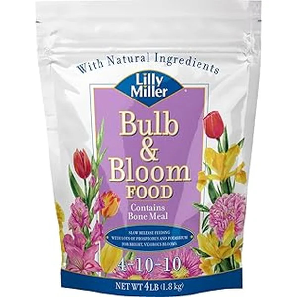 Lilly Miller Bulb Bloom 4 10 10
