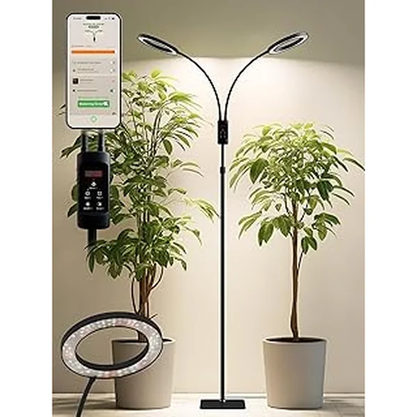 Auto Timer Spectrum Adjustable Stepless Assistant
