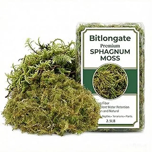 Bitlongate Premium Sphagnum Compressed Propagating