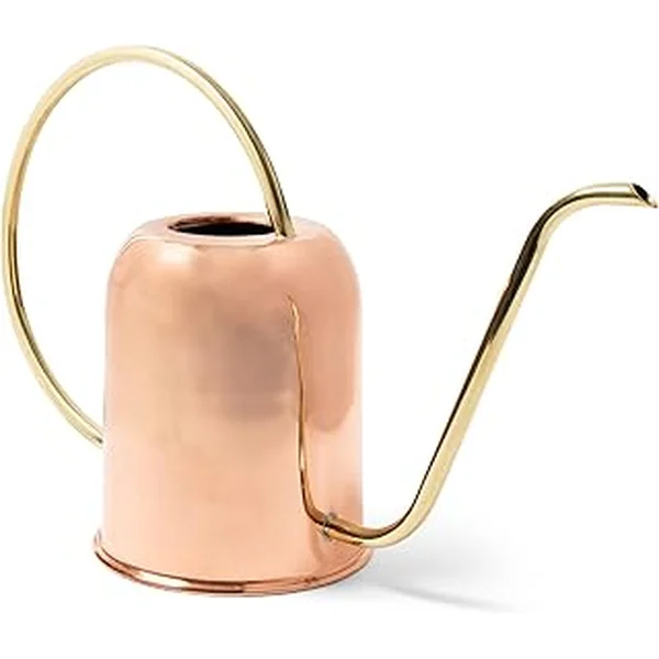 Copper Watering Can Indoor Plants