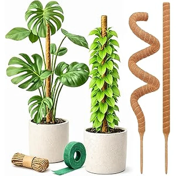 Craft911 Moss Monstera Plant Support