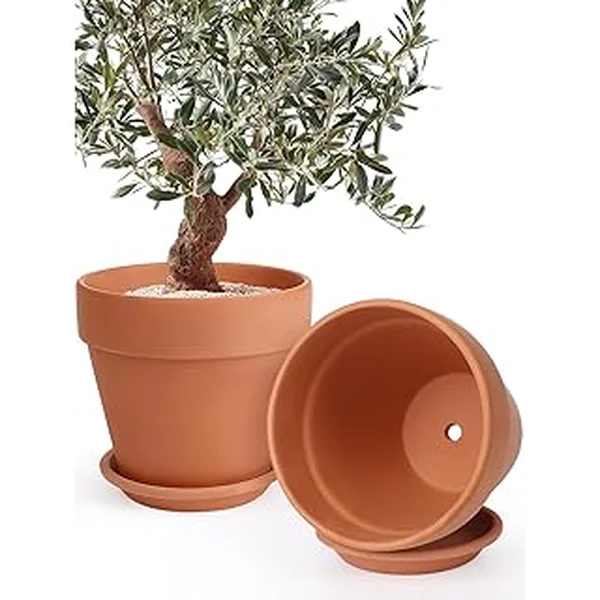 INGOFIN 12 Inch Terracotta Pot Set of 2 with Saucer - Ceramic Clay Pot for Plants with Drainage Hole, Large Terra Cotta Flower Planter with Tray for Indoor Outdoor Plants