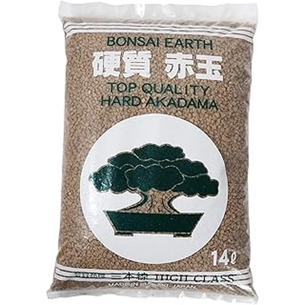 Zzbtwinkle Japanese Miniature Small Sized Houseplants