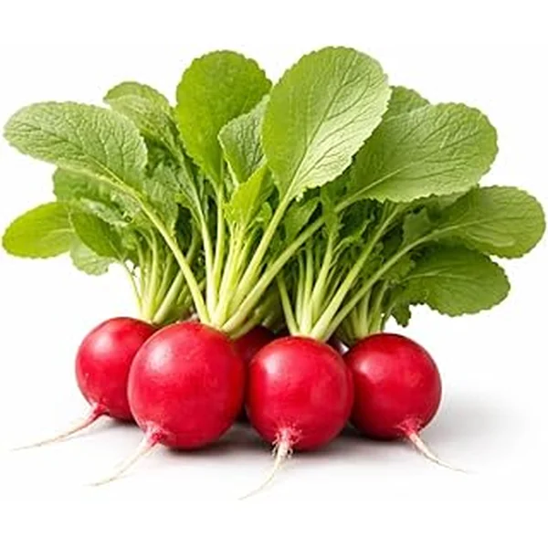 Cherry Belle Radish Seeds Ground