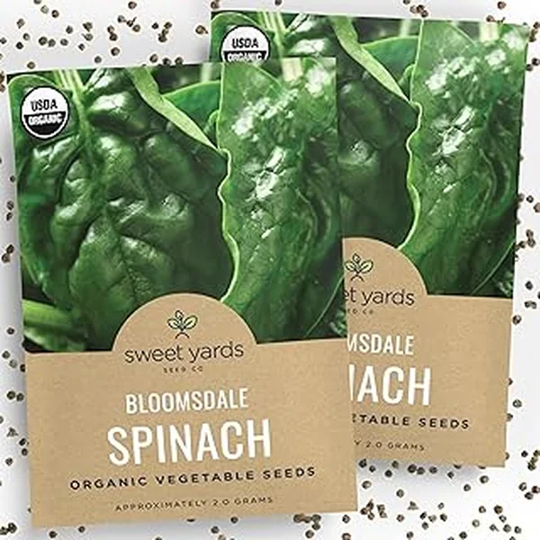 Organic Spinach Bloomsdale Heirloom Seeds