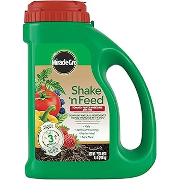 Miracle Gro Tomato Vegetable Outdoor Ground