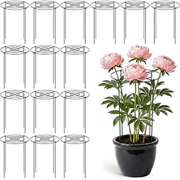 Geelin Supports Through Outdoor Flowers