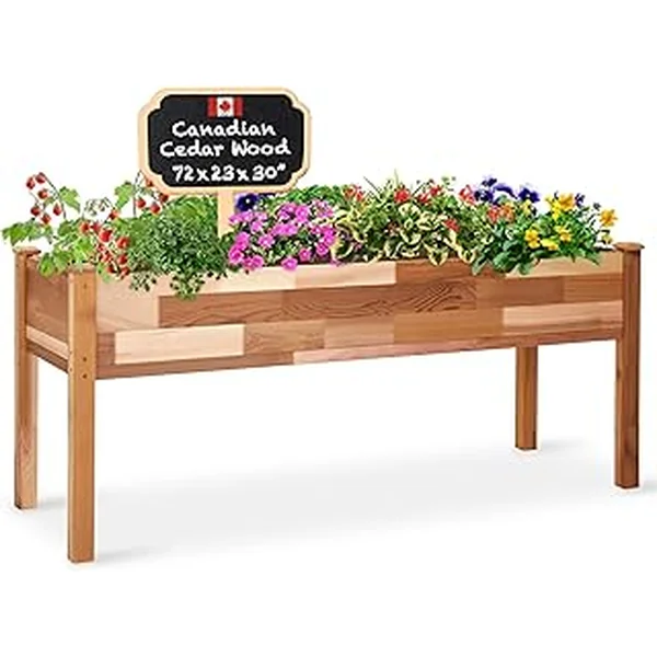 Jumbl Canadian Elevated Vegetables Succulents