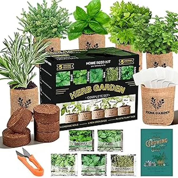 Meekear Starter Complete Planting Kitchen