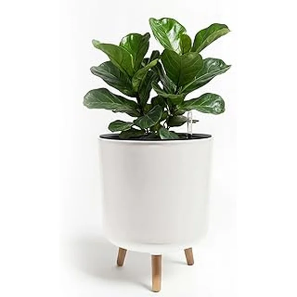 Bamworld Watering Indicator Plastic Planter