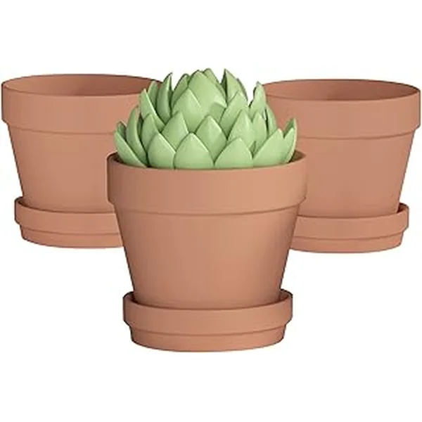 Fcacti Inch Clay Plant Saucer