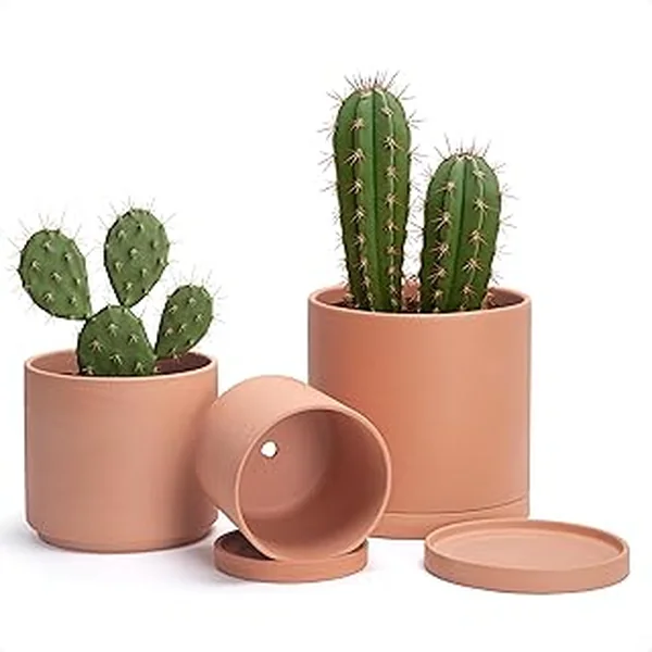 Dvine Dev Terracotta Cylinder Drainage
