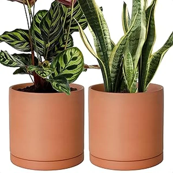 Dvine Dev Terracotta Drainage Cylinder