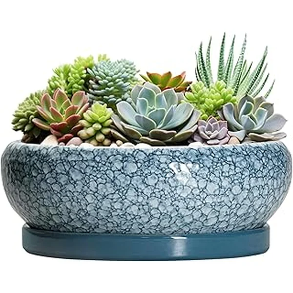 Large Succulent Planters - 13 Inch Ceramic Bonsai Pots with Drainage Hole and Saucer, Shallow Plant Pots Indoor Outdoor, Large Planter Bowl, Round Planter, Garden Decor, Gardening Gift, Blue